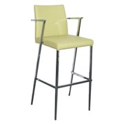 Kingston CS-GRN ounter Bar Stool