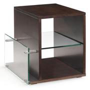 Ekoni Wood & Glass Magazine End Table